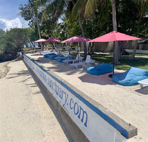 Cabilao Sanctuary Beach & Dive Resort .